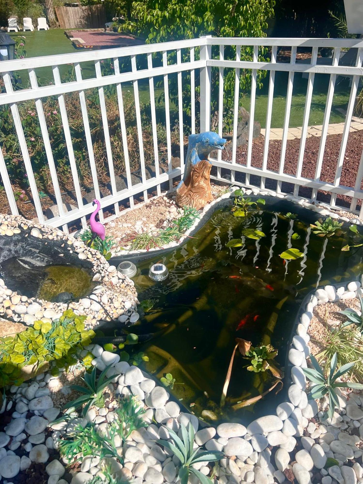Мотель Magical In The Galilee Кирьят-Шмона Экстерьер фото
